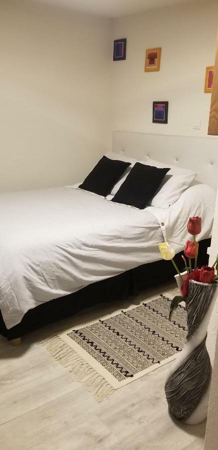 Studio 1 Apartman Saint-Martin-la-Plaine Kültér fotó